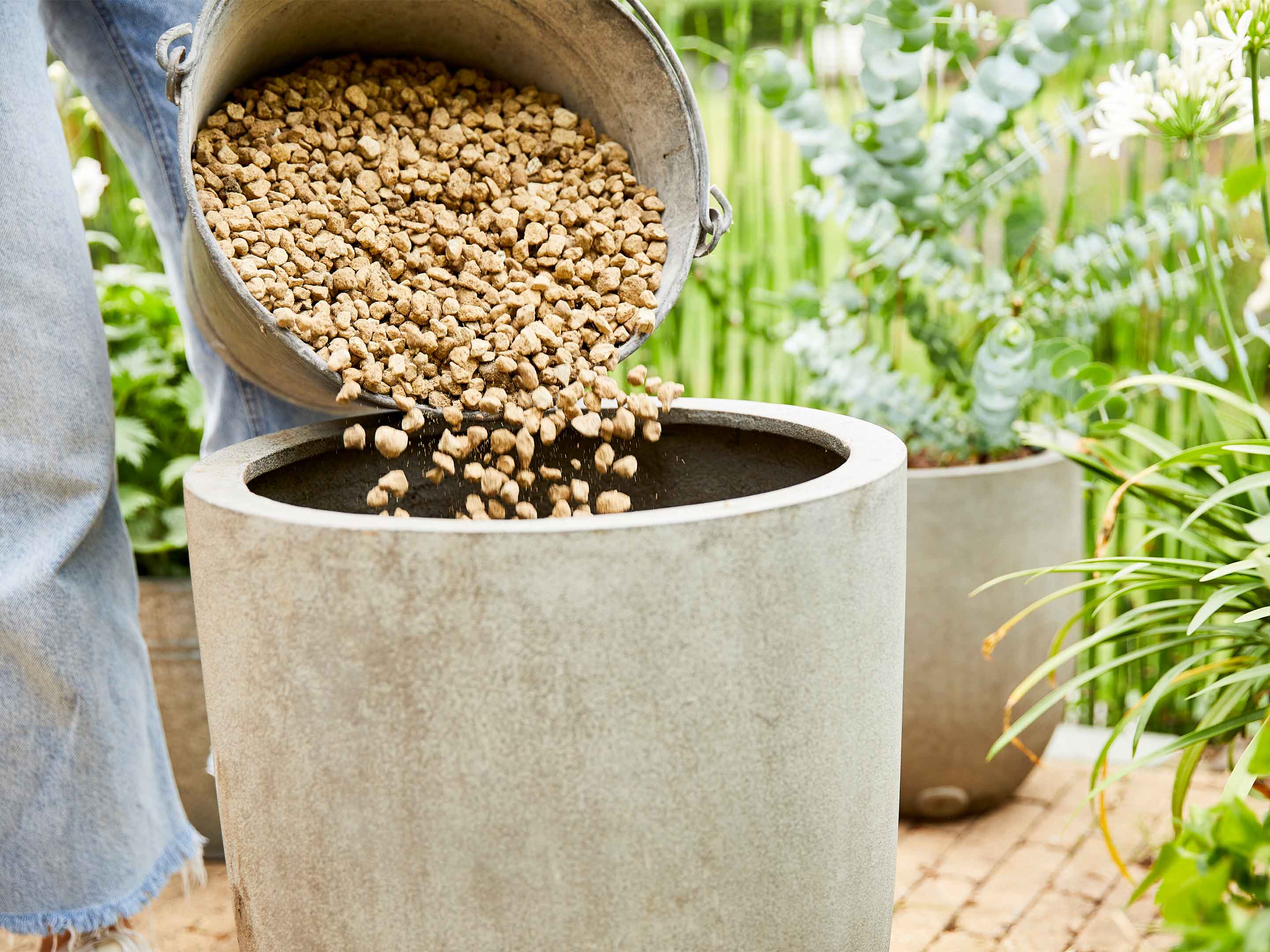 Mineralisches Substrat – ideal für.