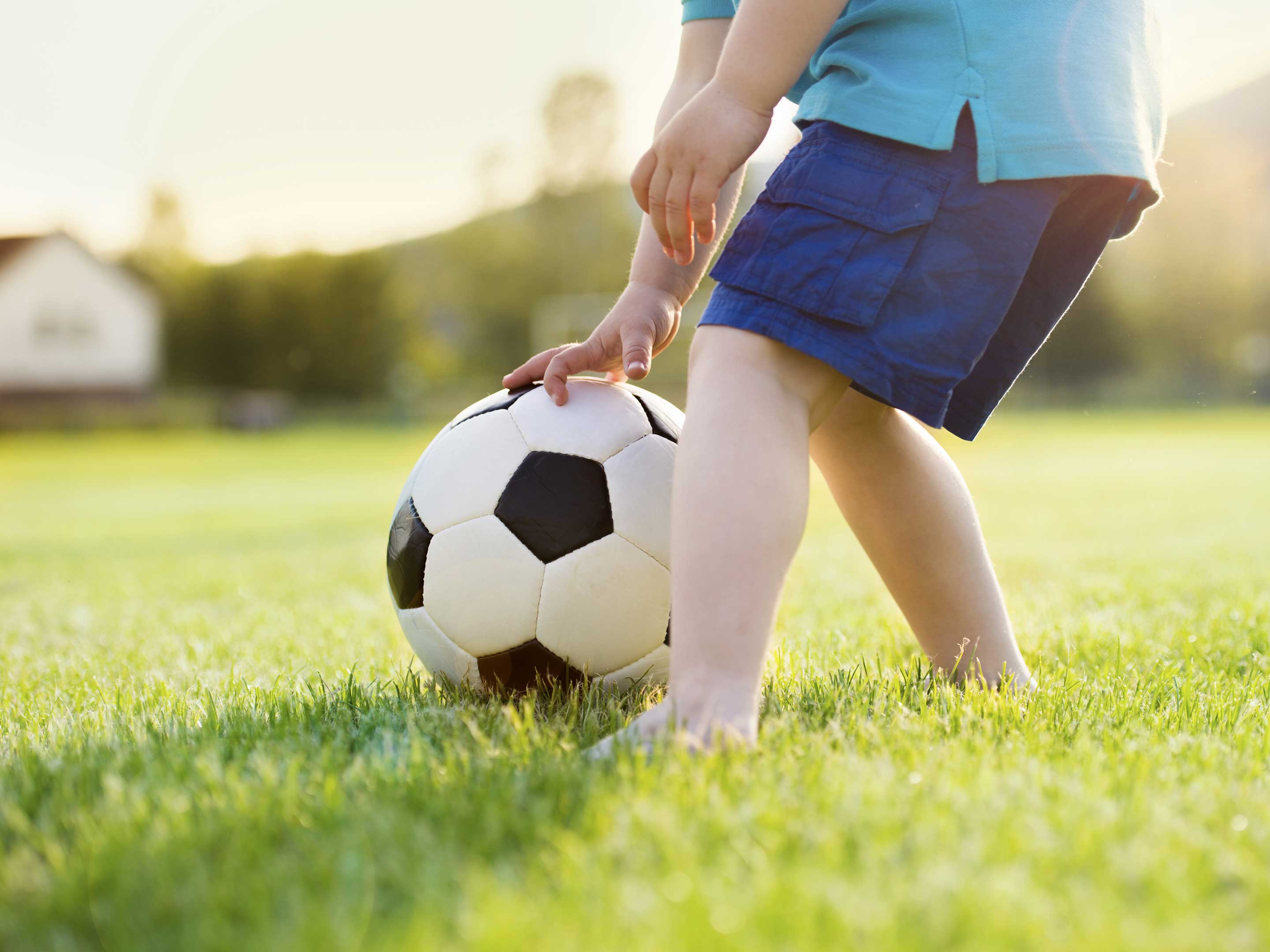 Spiel- & Sportrasen