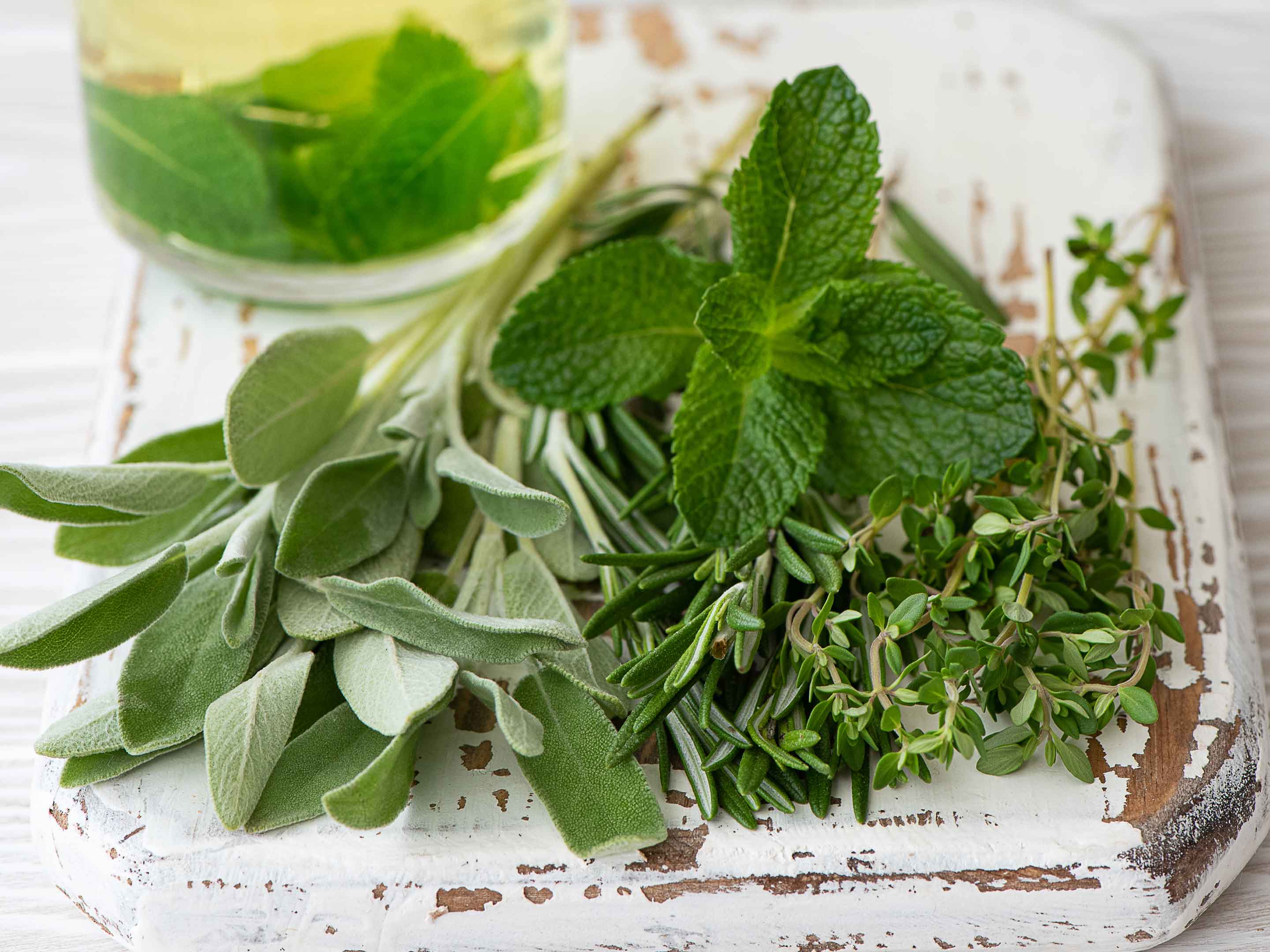 Comment utiliser la tisane de menthe poivrée comme un remède