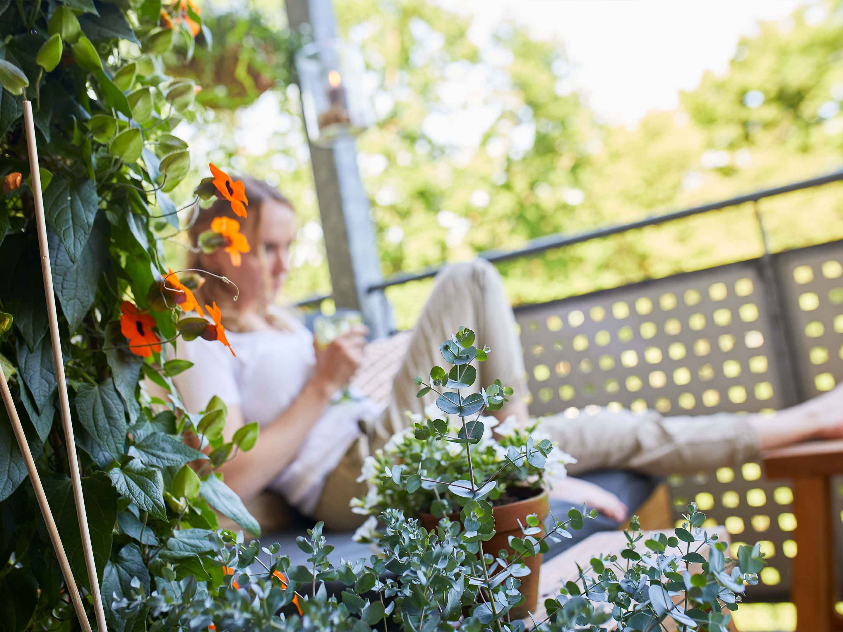 Balkon mit mediterranen Pflanzen gestalten