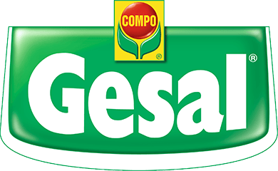 Gesal