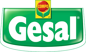 Gesal