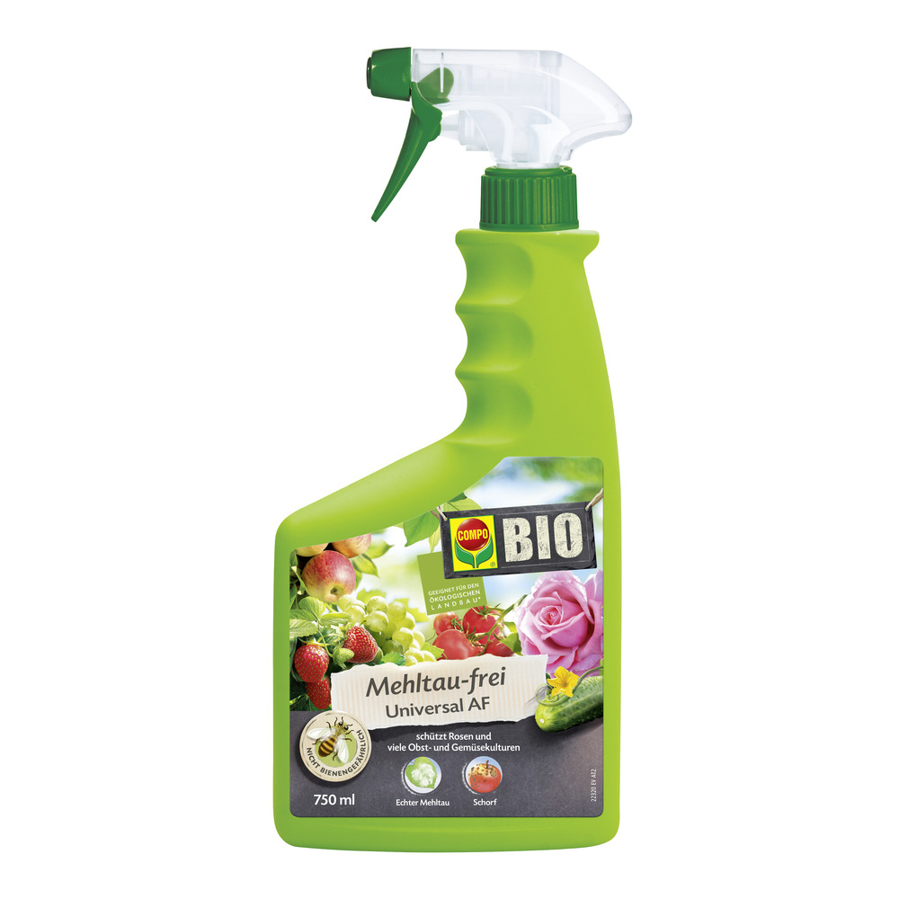 compo buchsbaumdünger Purgrün Buchsbaumdünger 1 kg