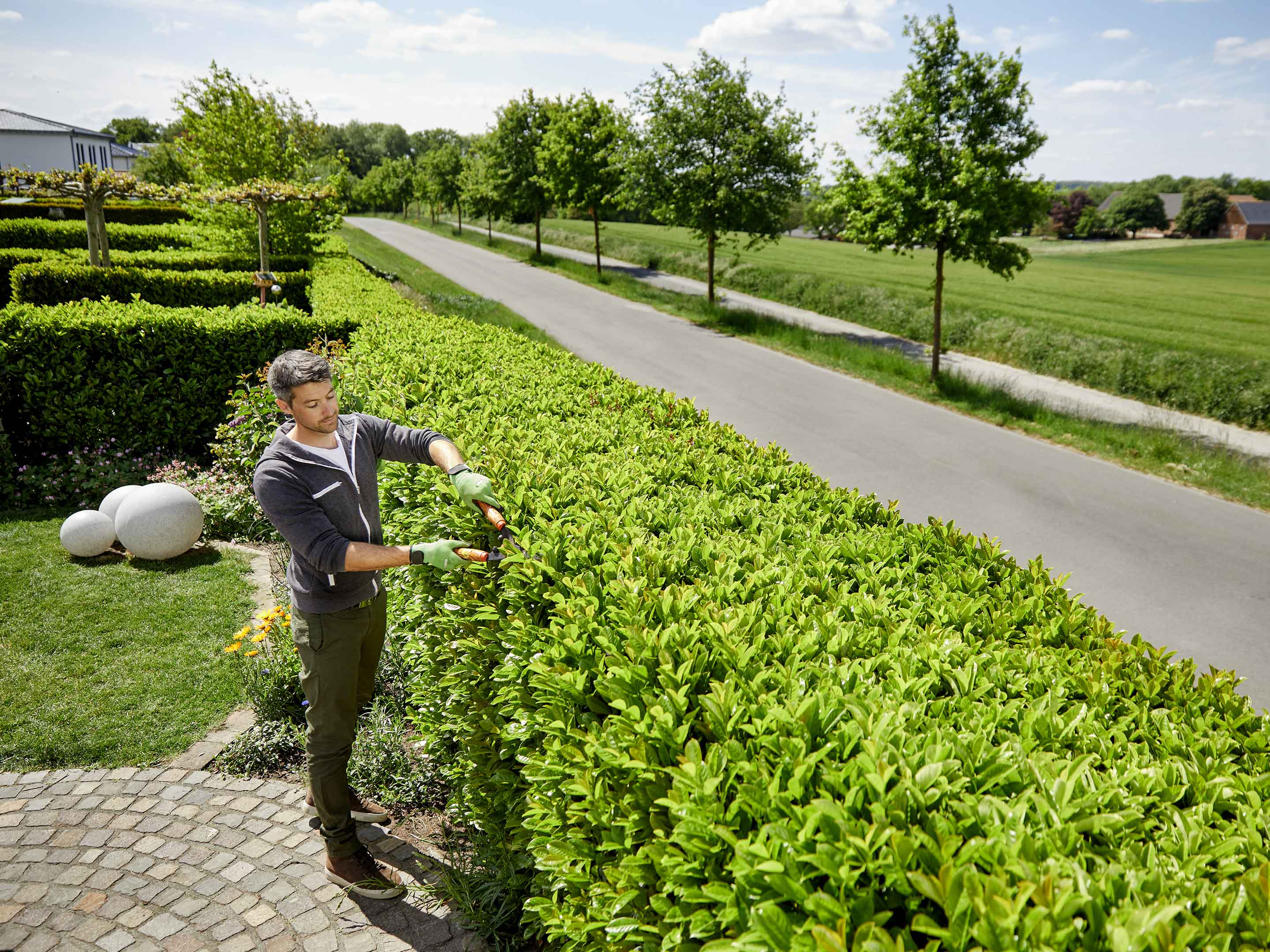 Hecken pflanzen und pflegen