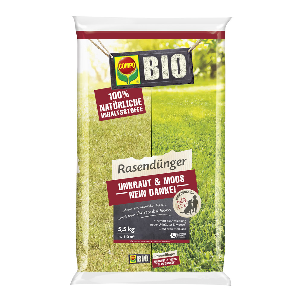 bio zucchini saatgut BIO Zucchini Samen Rund (Tondo di Nizza)