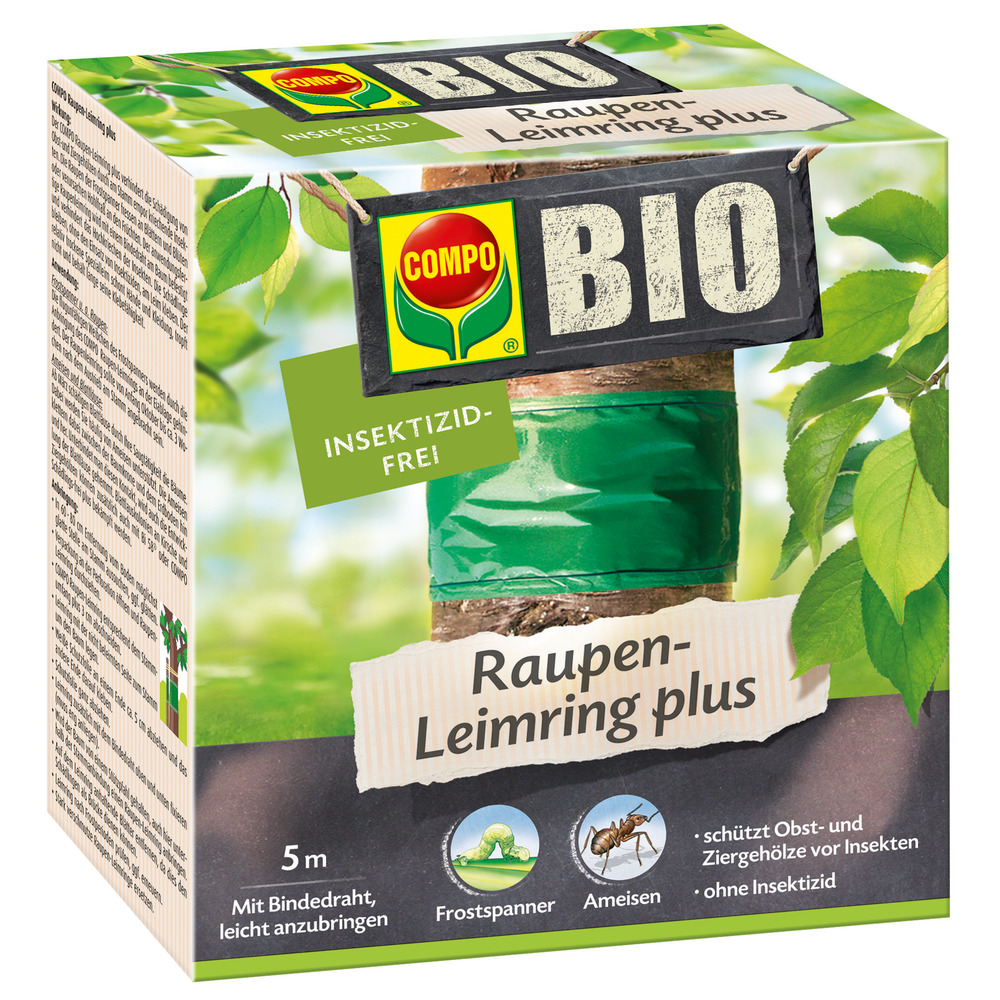 saatgut pak choi Pak Choi Saatgut kaufen