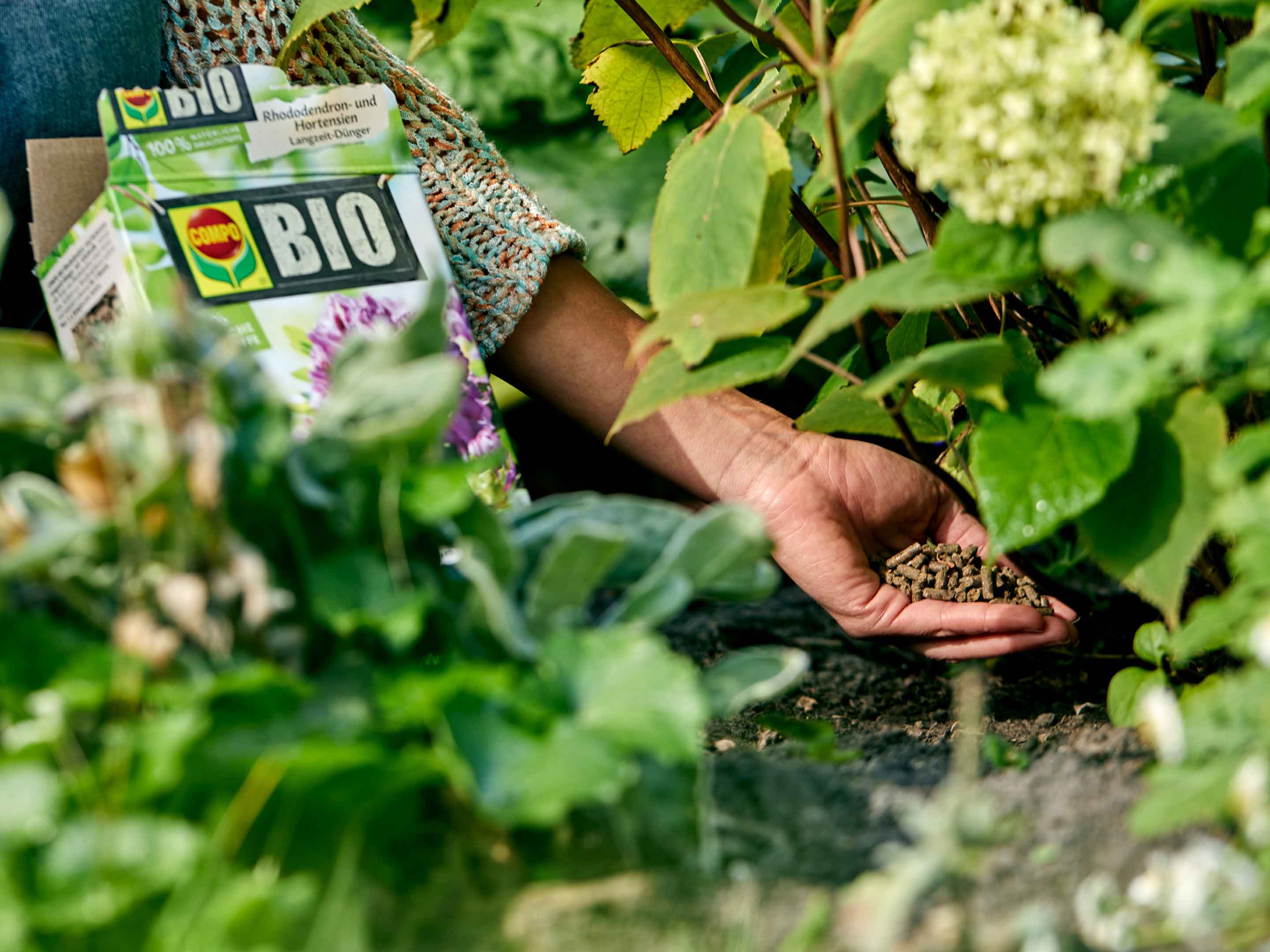 fertilising-plants-the-fertiliser-special-compo