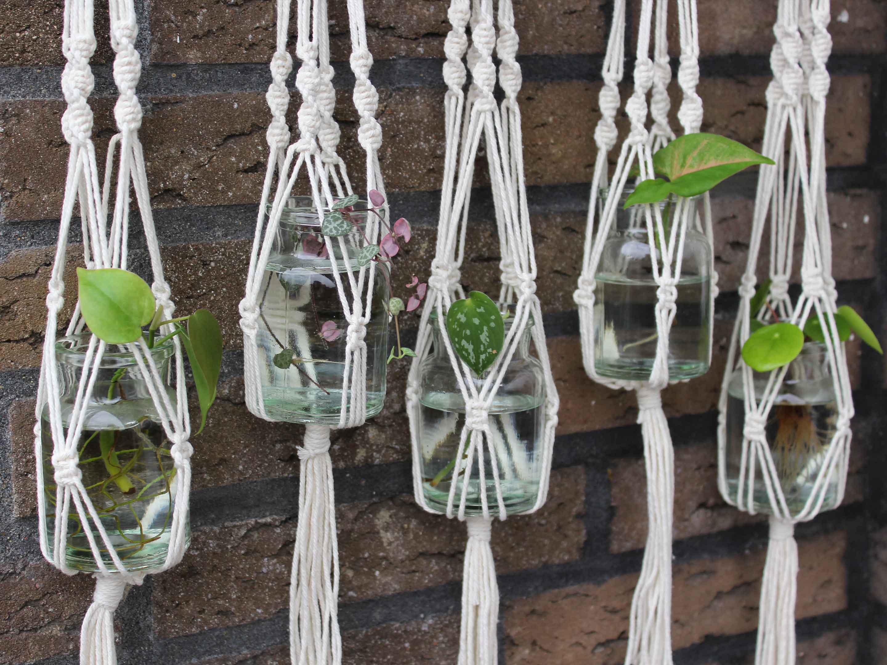 DIY-Geschenk für Pflanzenfans: Makramee-Ampel-Mobile für Stecklinge