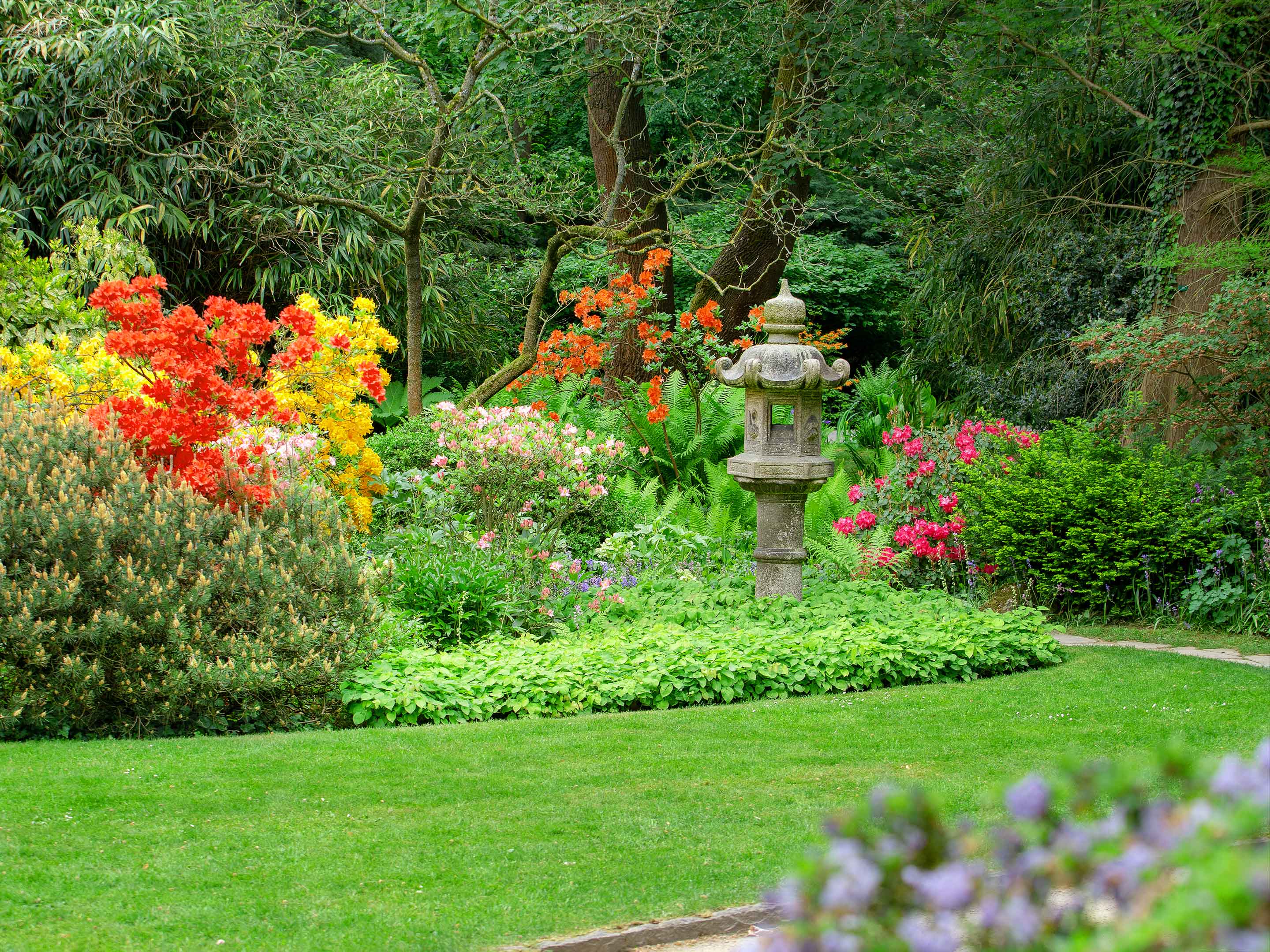 Pietre decorative da giardino per Vasi e Piante da interno ed esterno –