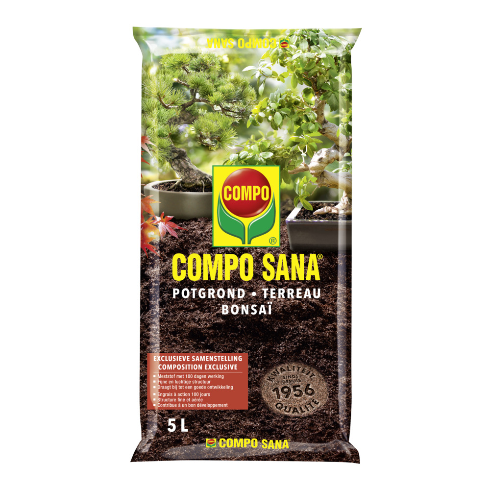 panflöte aus bambus Panflöte 15 Pfeifen G-Taste Bambus Panflöte Chinesisches traditionelle