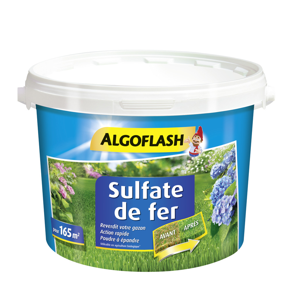 Sulfate de Fer Algoflash