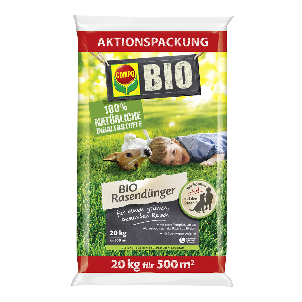 saatgut rosenkohl Bio-Rosenkohl 'Rubine' kaufen main image 0