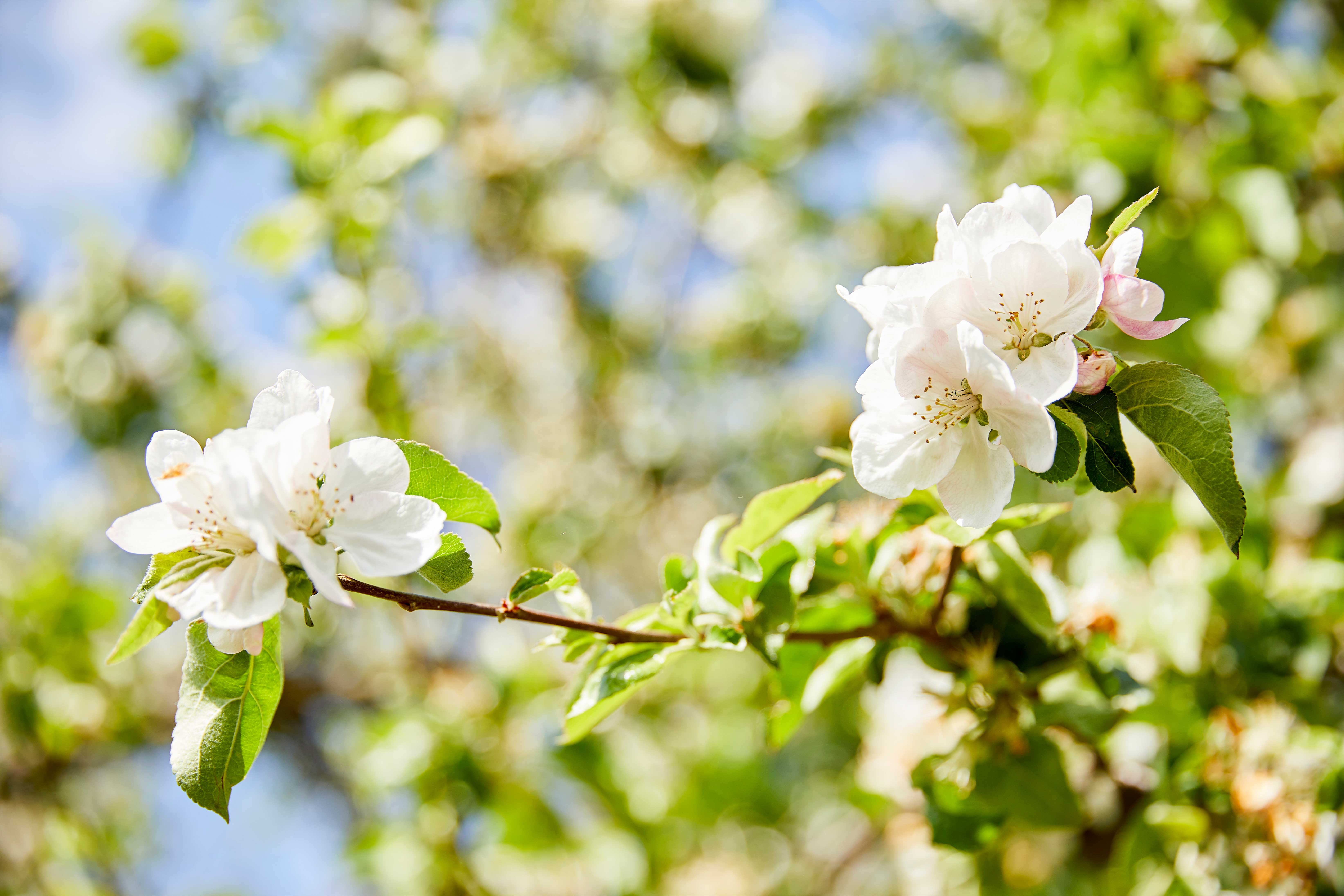 Produktsortiment COMPO Gruppe