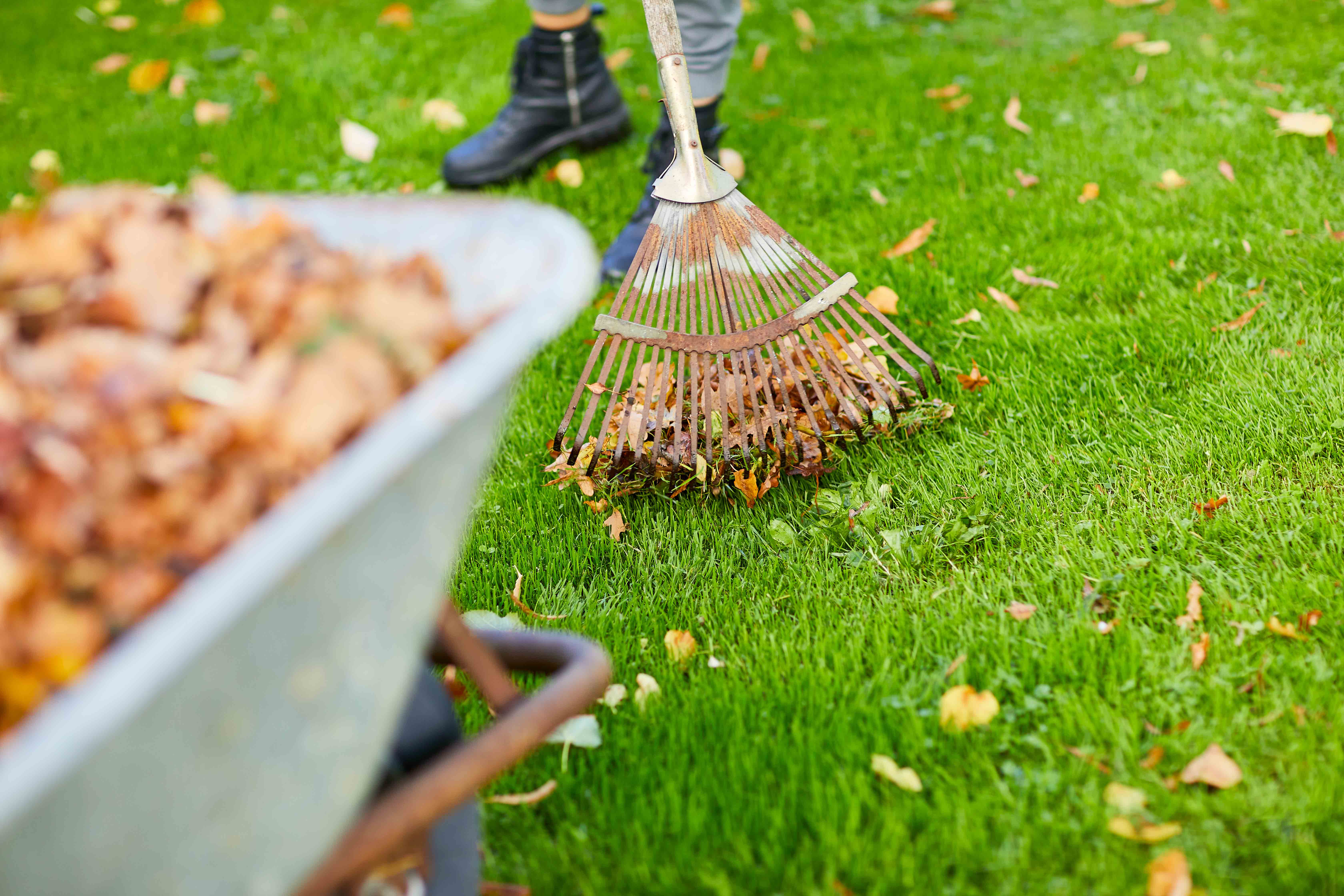 Autumn Lawn Fertilisation A Lush Green Lawn For The Spring autumn-lawn-fertilisation-a-lush-green-lawn-for-the-spring