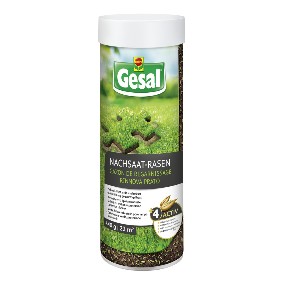 Gesal Nachsaat-Rasen