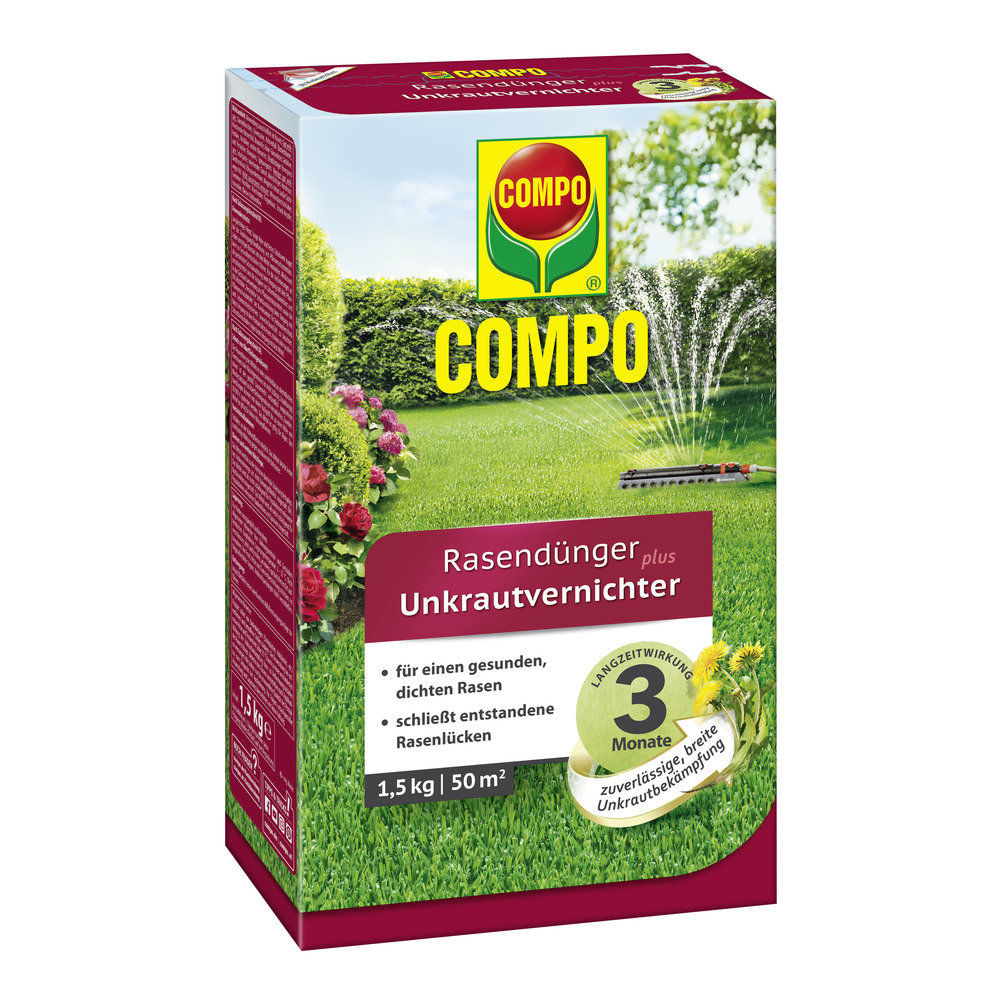 dünger für trompetenbaum Kugel-Trompetenbaum - Catalpa bignonioides Nana