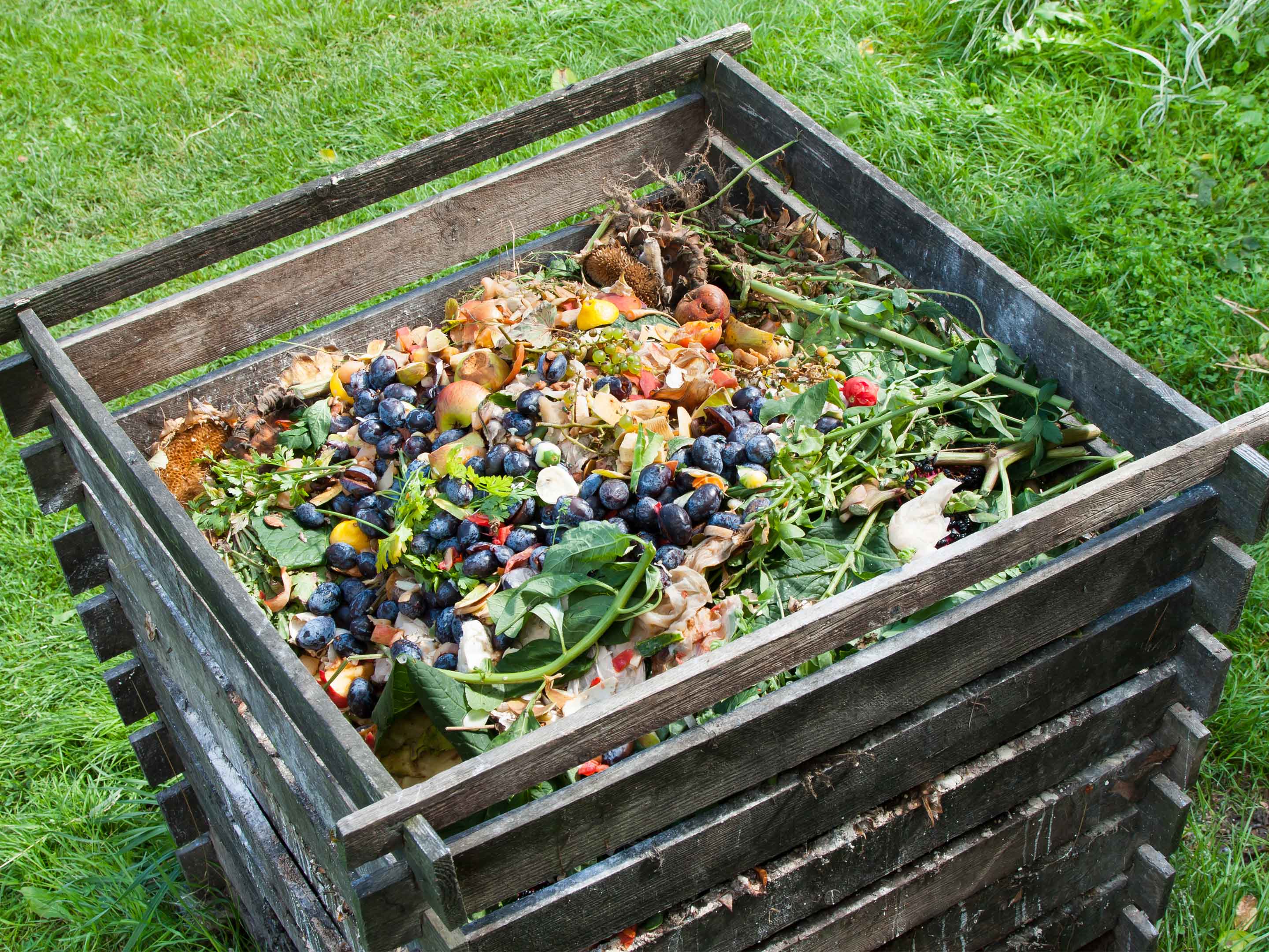 Zero Waste: Wie Sie Gemseabfall vermeiden | COMPO