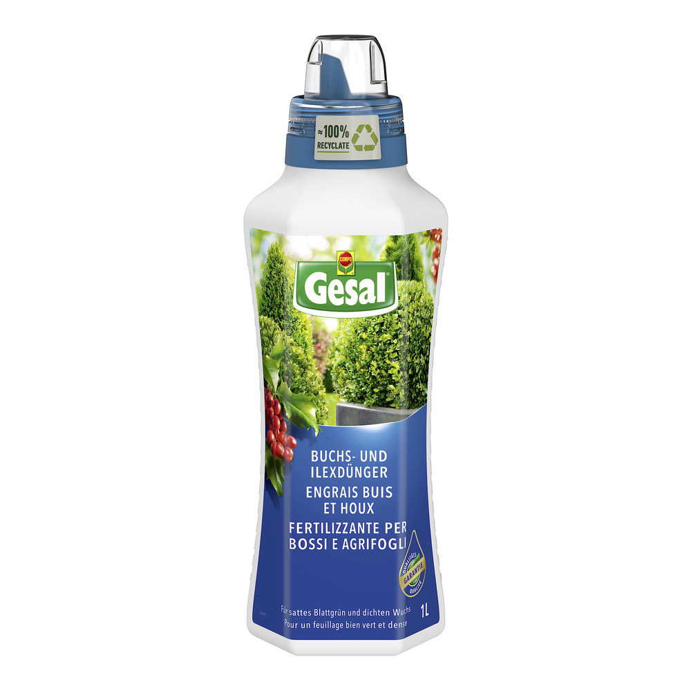 Gesal Buchs- und Ilexdnger