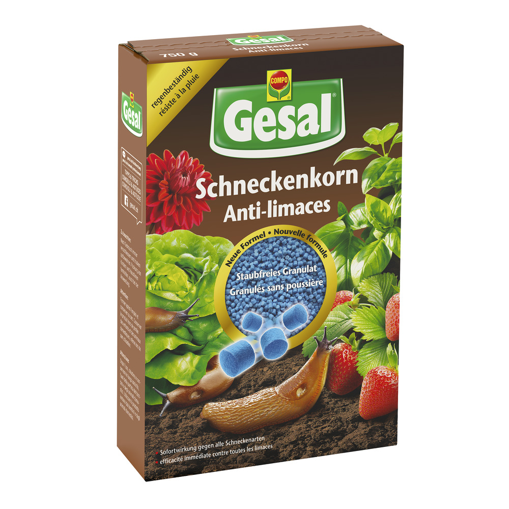 tee saatgut Saatgut-Kollektion KRÄUTER-TEES – Mariechen.wien