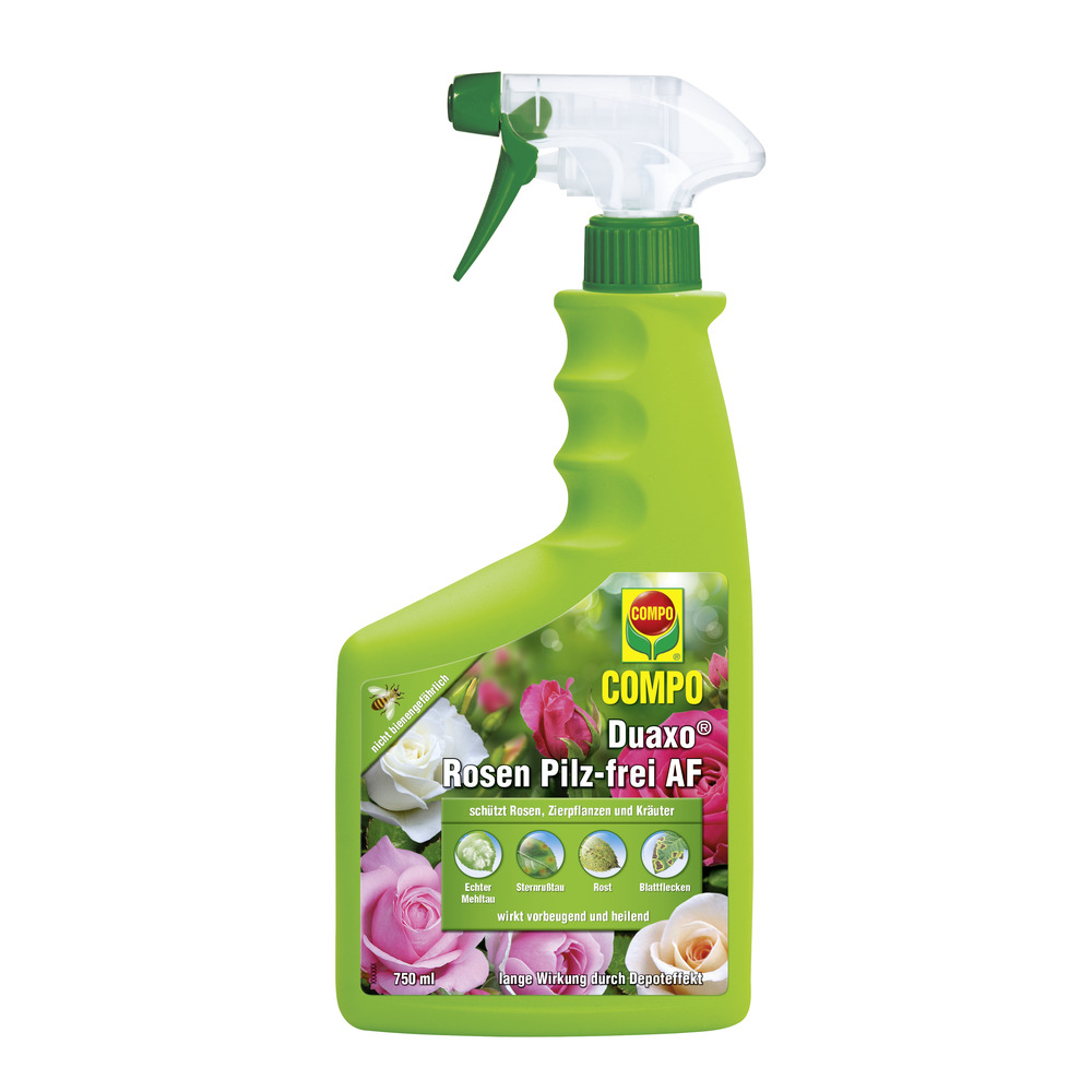 Compo Duaxo Rosen Pilz-frei – Konzentrat, 50 Ml – Gegen Mehltau, Sternrußtau & Andere Pilzkrankheiten