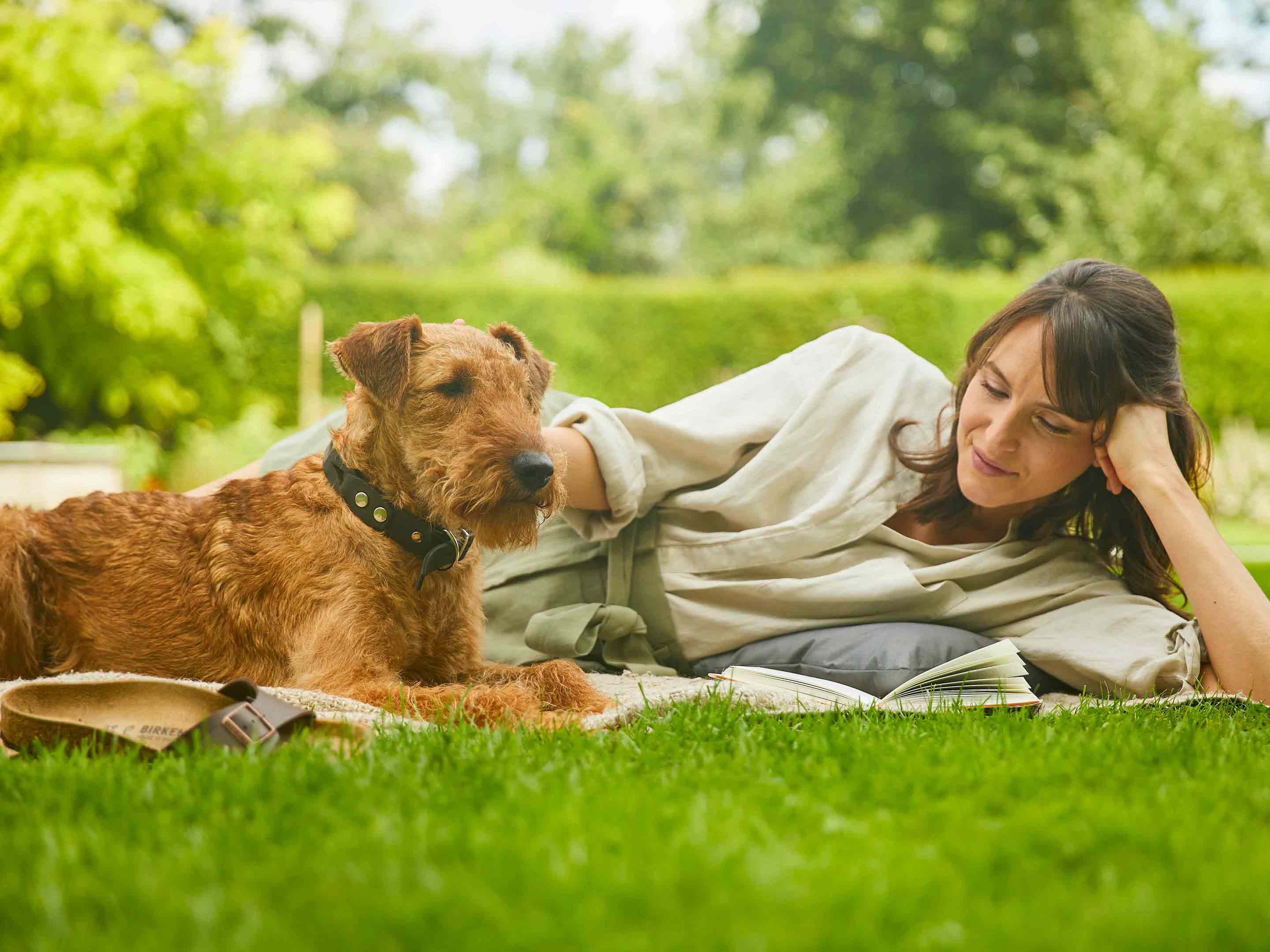 Ein Fleckchen Erde fr Hunde | COMPO
