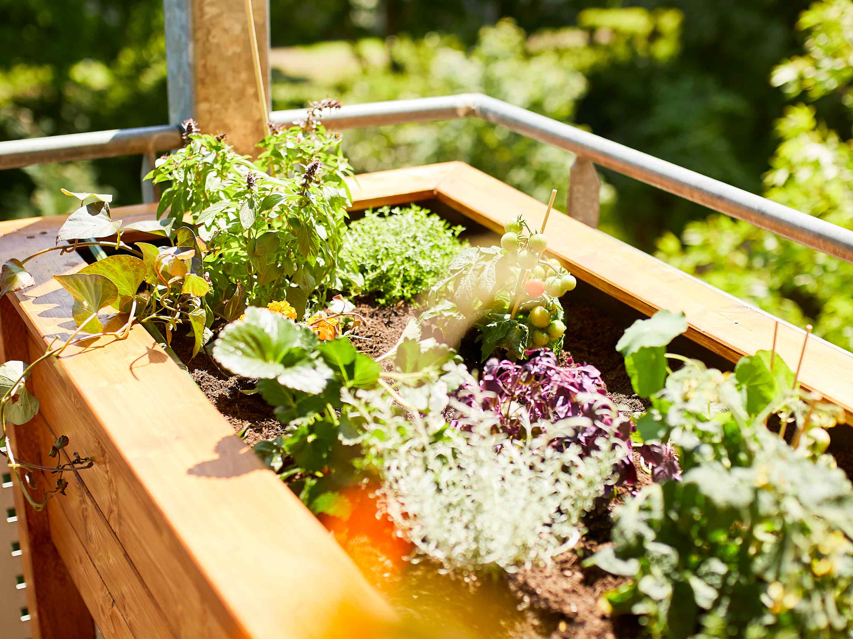 Gsycle Piegarami, Strumento Di Regolazione Del Tronco Dell'albero Per Modellare Il Tronco Dell'albero In Acciaio Al Carbonio Per Il Giardinaggio Dei Bonsai