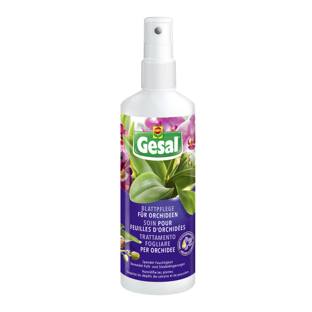 Compo Blattpflege für Orchideen Pumpspray 250mL - Mauk Gartenwelt